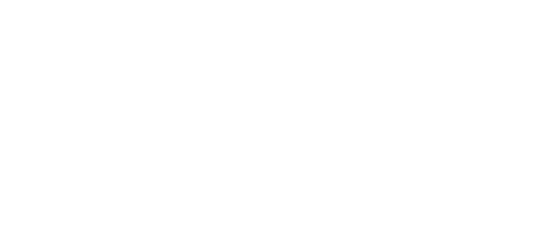 Course History